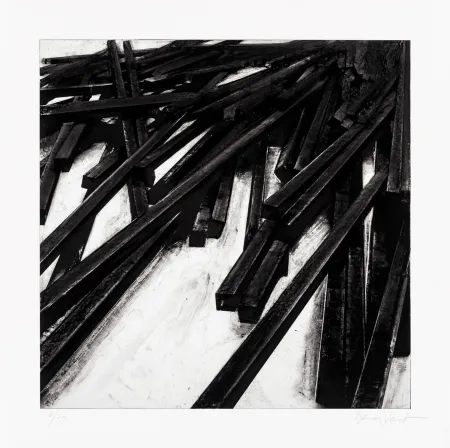 丝网印刷 Venet - Lignes droites / désordre 06