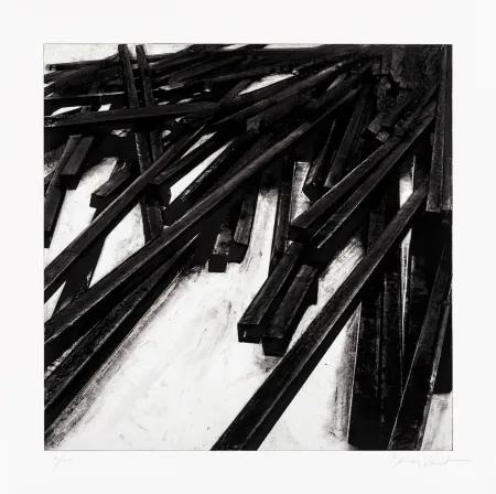 丝网印刷 Venet - Lignes droites / désordre 06