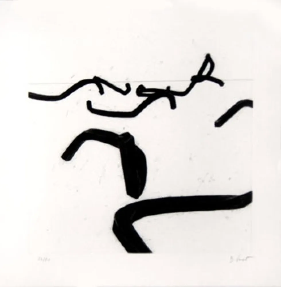 版画 Venet - LIGNES INDETERMINEES
