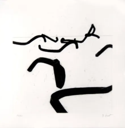 版画 Venet - LIGNES INDETERMINEES