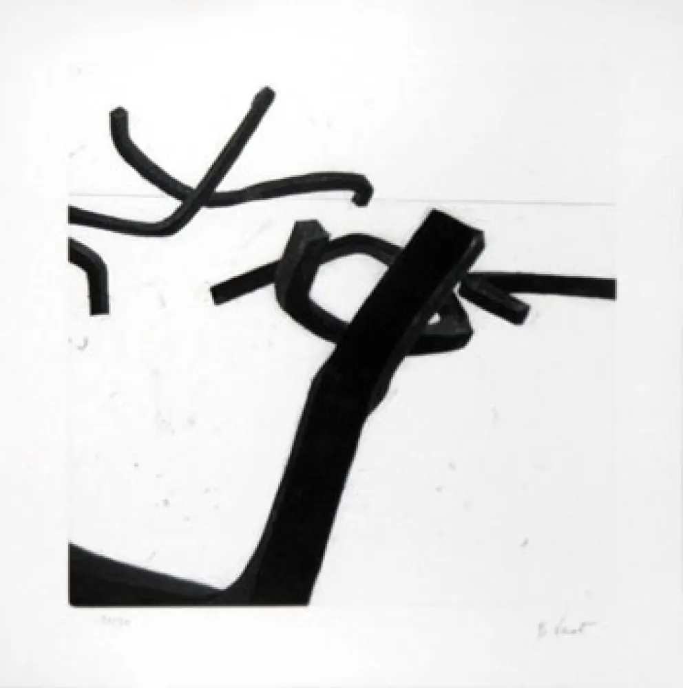 版画 Venet - LIGNES INDETERMINEES