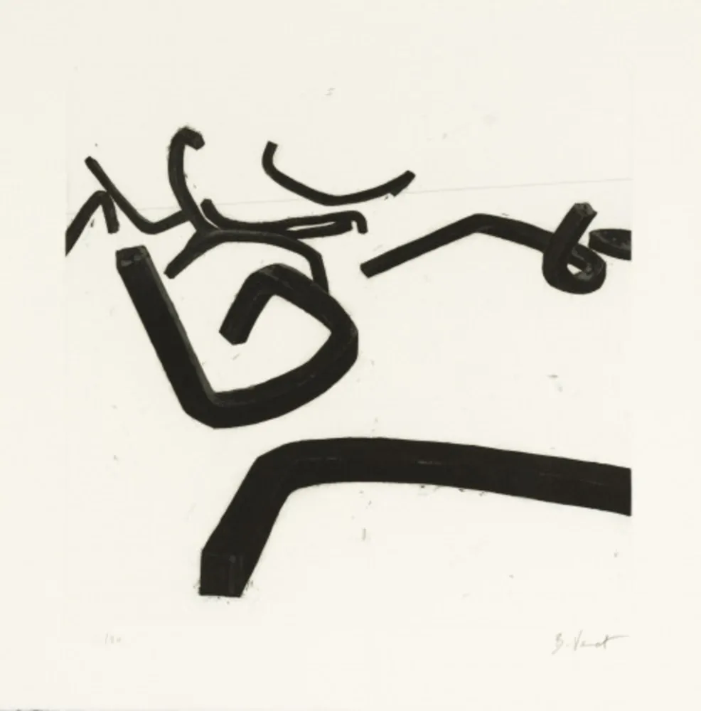 蚀刻飞尘法 Venet - Random Combination of Indeterminate Lines II, c