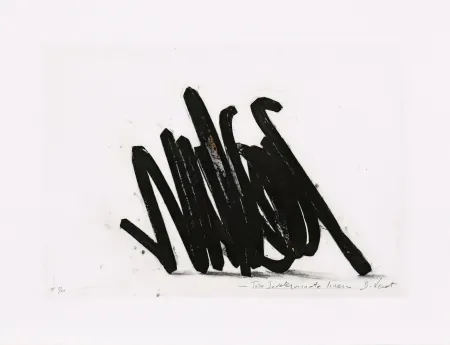 蚀刻版画 Venet - Two indeterminate lines 02