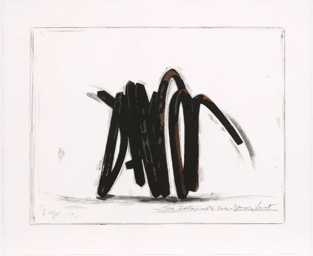 丝网印刷 Venet - Two indeterminate lines