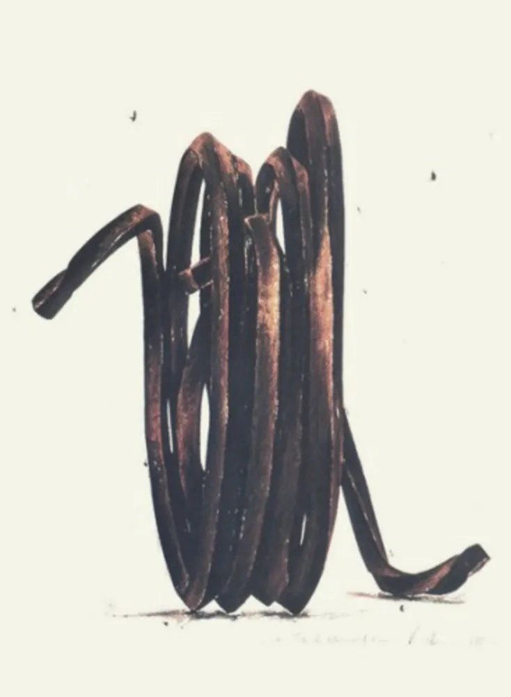 复数作品 Venet - Two Undetermined Lines