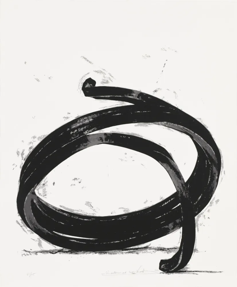 丝网印刷 Venet - Undetermined Line 02