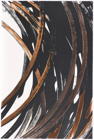 丝网印刷 Venet - Untitled V bis (Arcs)