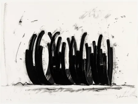 丝网印刷 Venet - Variations on the Arc 03