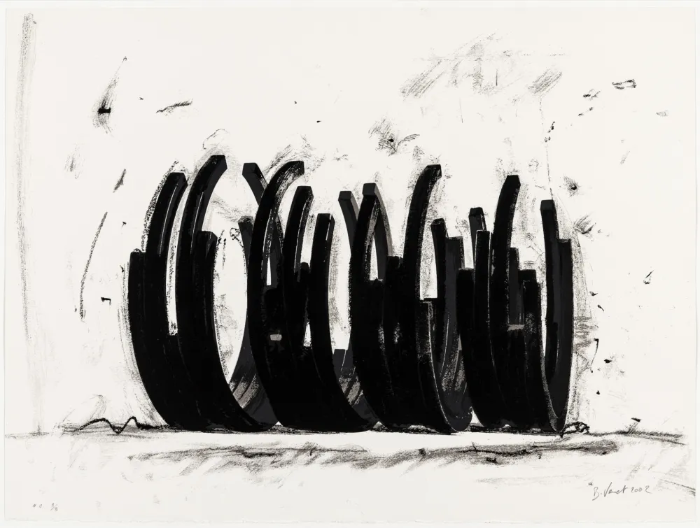 丝网印刷 Venet - Variations on the Arc 03