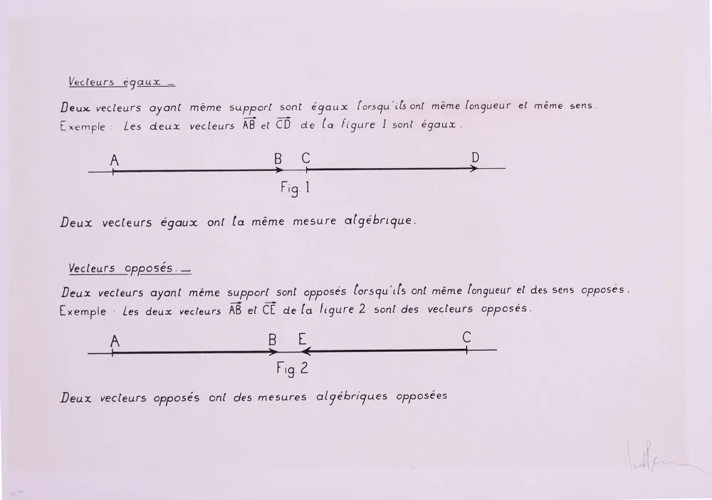 石版画 Venet - VECTEURS