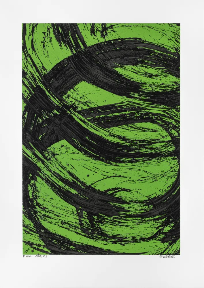 无技术 Verdier - Aria 09