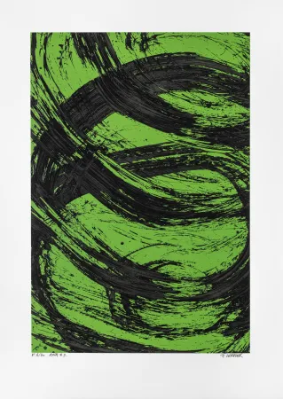 无技术 Verdier - Aria 09