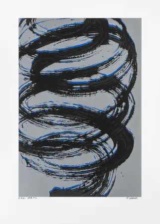 丝网印刷 Verdier - Aria 10 