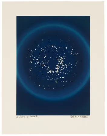 丝网印刷 Verdier - Odtsetseg