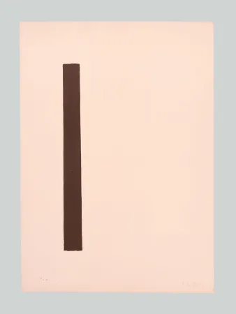 丝网印刷 Vermi - Composizione