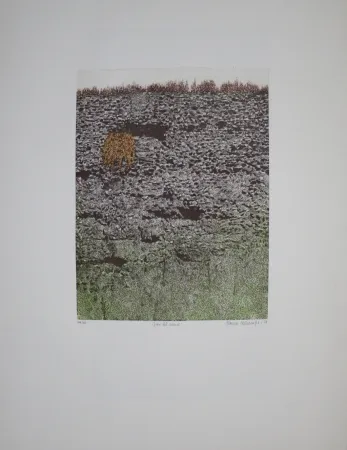 蚀刻飞尘法 Vernunft - Fiori le mura