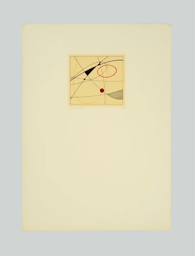 丝网印刷 Veronesi - Composizione