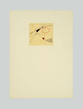 丝网印刷 Veronesi - Composizione