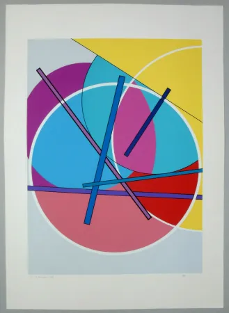 丝网印刷 Veronesi - Composizione