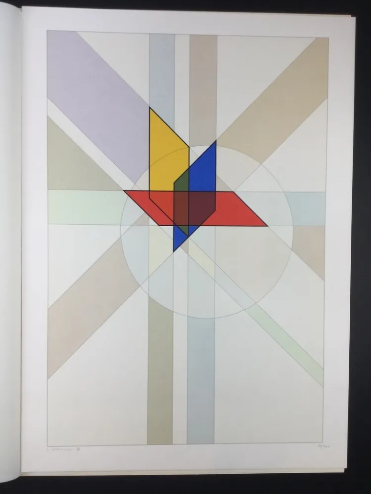 丝网印刷 Veronesi - Costruzione