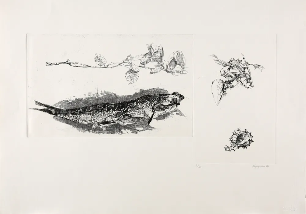 版画 Vespignani - Studi