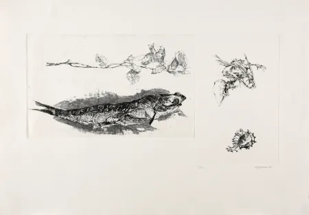 版画 Vespignani - Studi