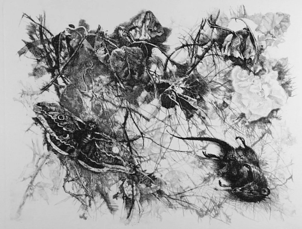 蚀刻版画 Vespignani - Zibaldone (Per Leopardi)