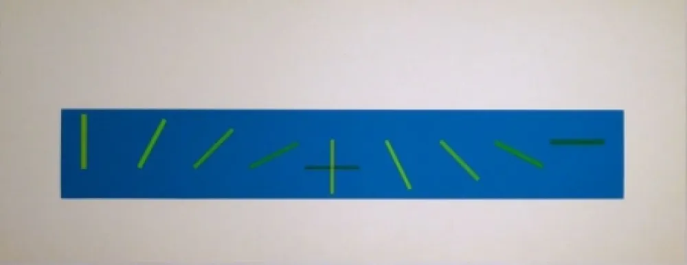 丝网印刷 Vieira - Croisement de directions opposées : 7 condictions de saturation chromatique
