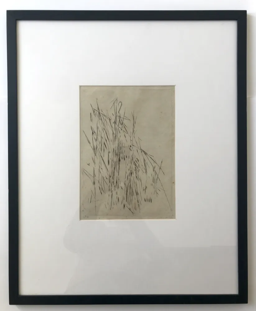 版画 Vieira Da Silva - Les roseaux