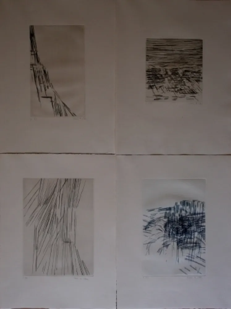 插图书 Vieira Da Silva - Poésies