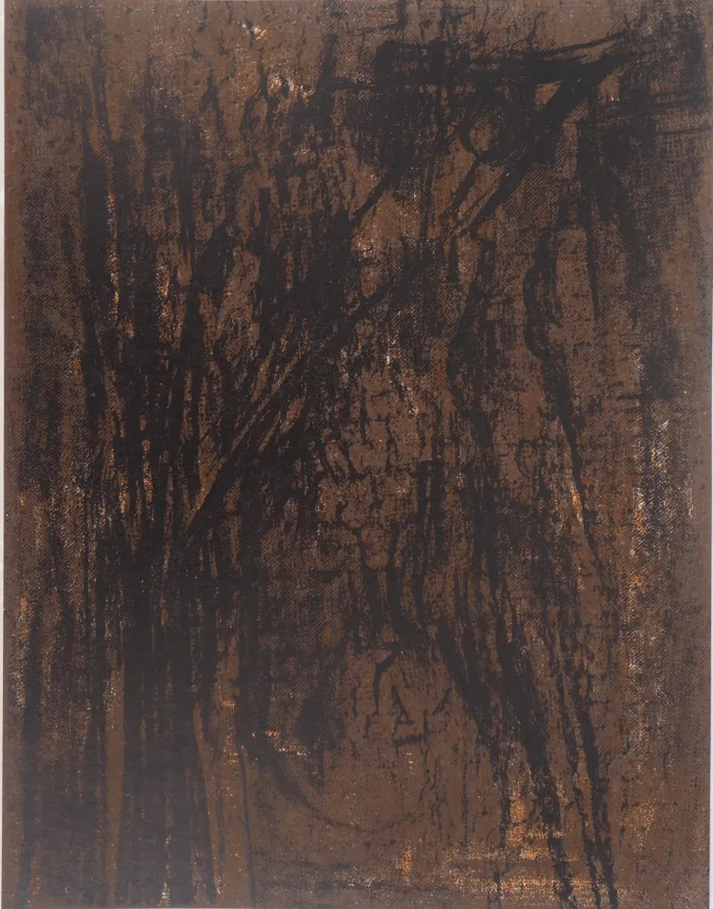 石版画 Vieira Da Silva - Terre du Portugal