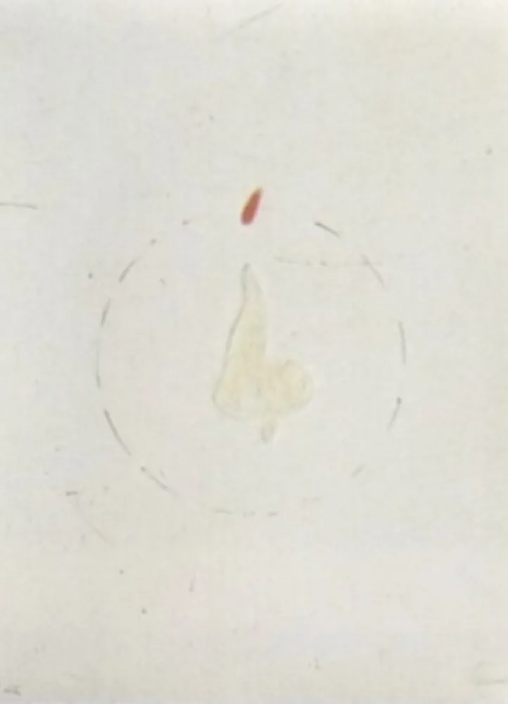 石版画 Viladecans - Entrebanc 19