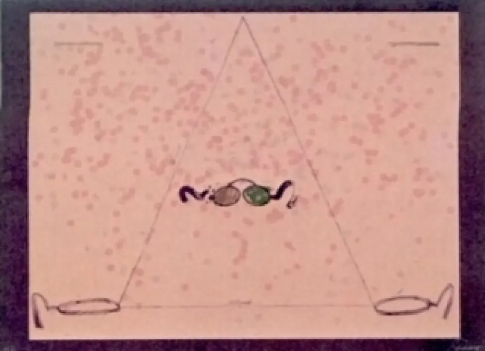 石版画 Viladecans - Entrebanc 5