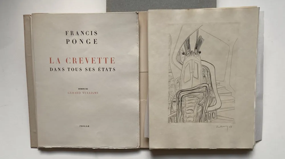 插图书 Vulliamy - LA CREVETTE DANS TOUS SES ETATS