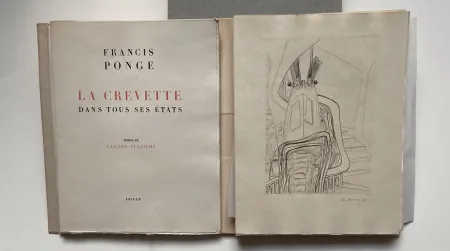 插图书 Vulliamy - LA CREVETTE DANS TOUS SES ETATS
