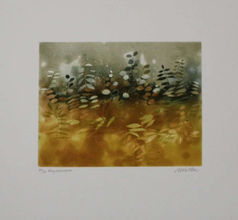 蚀刻飞尘法 Walker - Longmeadow