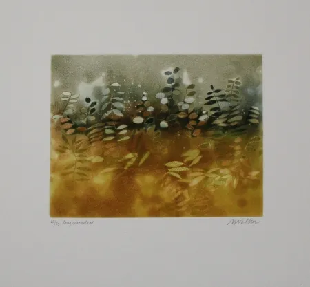 蚀刻飞尘法 Walker - Longmeadow