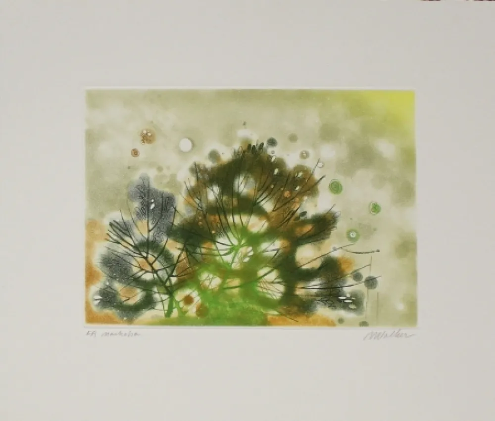 蚀刻飞尘法 Walker - Marhoha