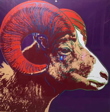 丝网印刷 Warhol - Bighorn Ram TP (FS II.302)