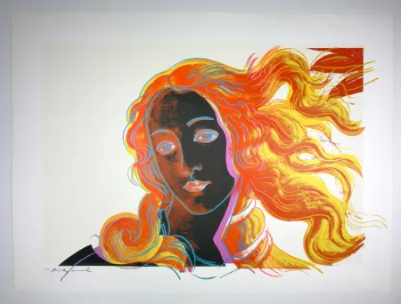丝网印刷 Warhol - Birth of Venus 318
