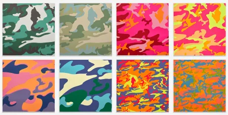 丝网印刷 Warhol - Camouflage Complete Portfolio