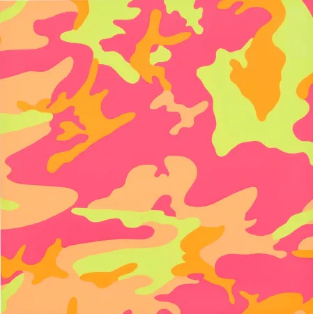 丝网印刷 Warhol - Camouflage (F. & S. II.409)
