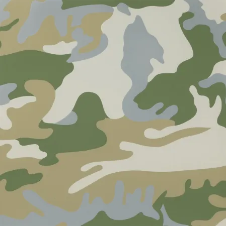 丝网印刷 Warhol - Camouflage (FS II.407)