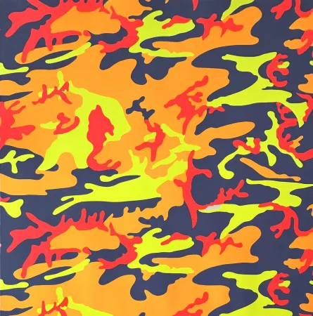 丝网印刷 Warhol - Camouflage (FS II.412)