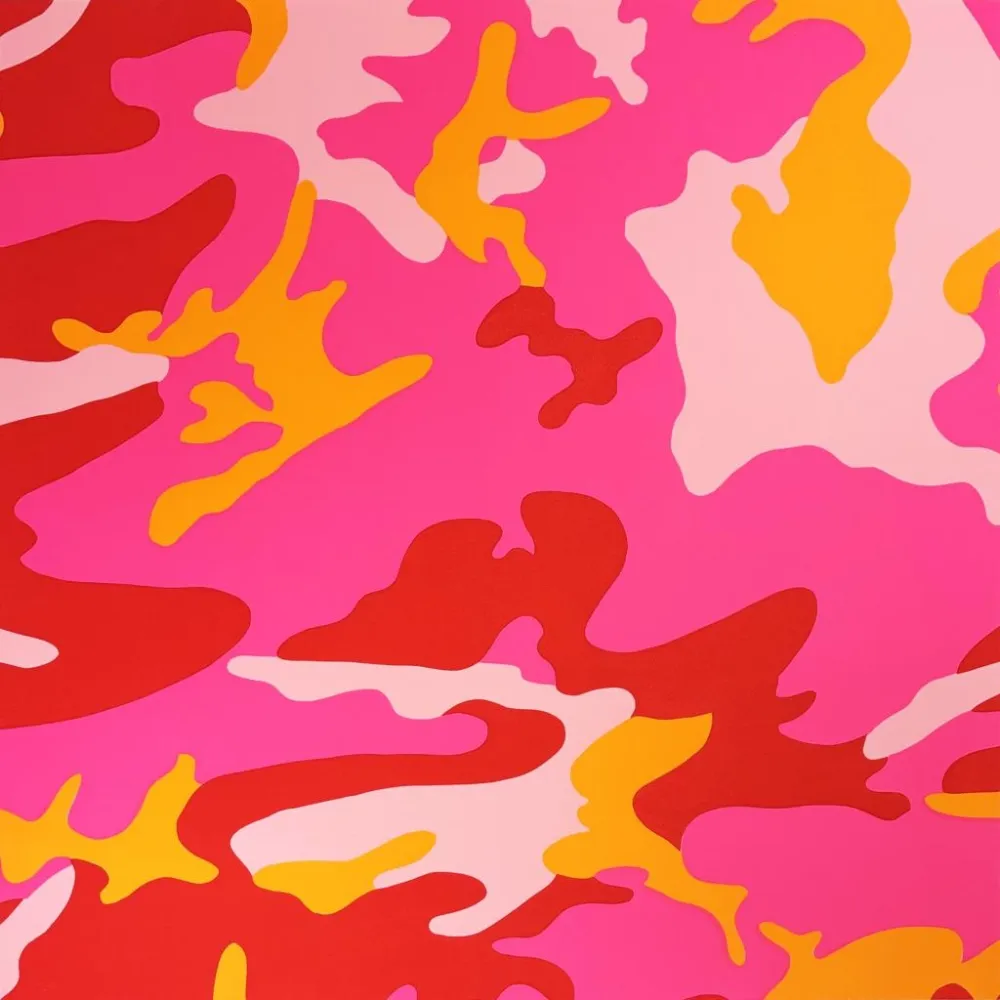 丝网印刷 Warhol - Camouflage, II.408