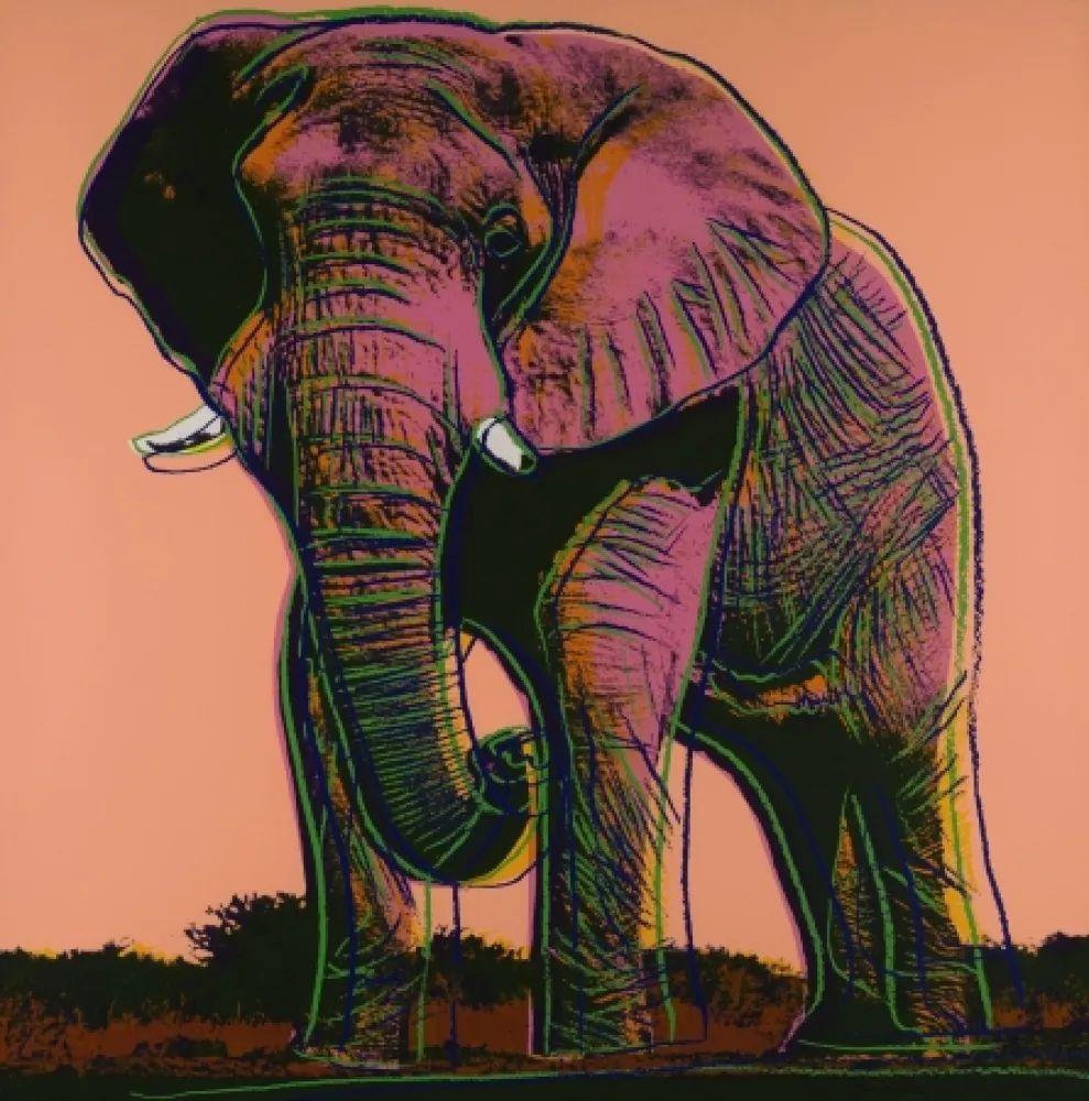 丝网印刷 Warhol - Elephant 
