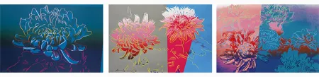 丝网印刷 Warhol - Kiku, Complete Portfolio