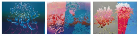 无技术 Warhol - Kiku Complete Portfolio (FS II.307-309)