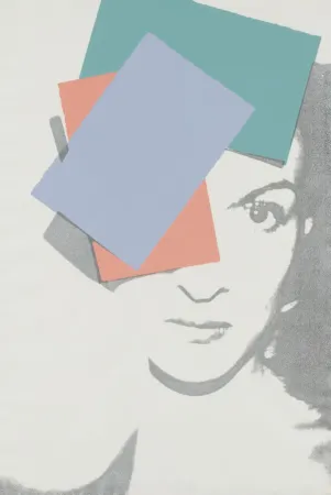 复数作品 Warhol - Paloma Picasso