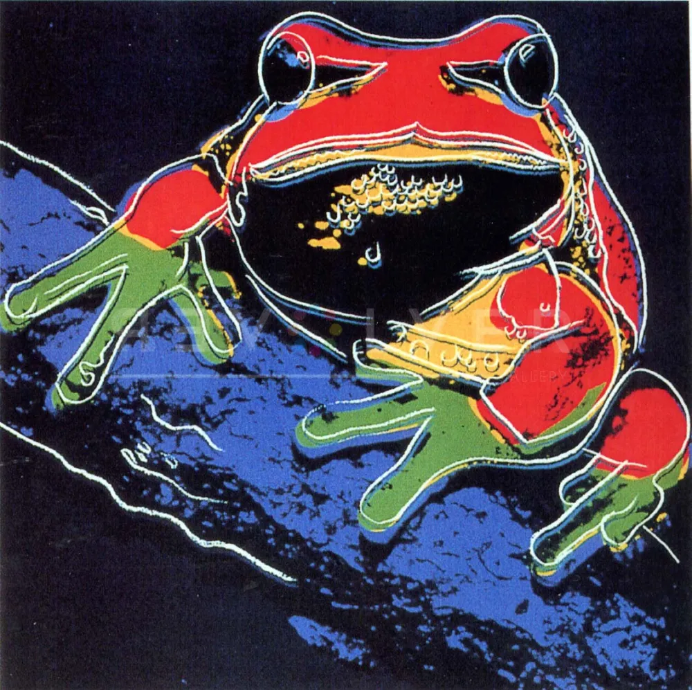 丝网印刷 Warhol - Pine Barrens Tree Frog (FS II.294)